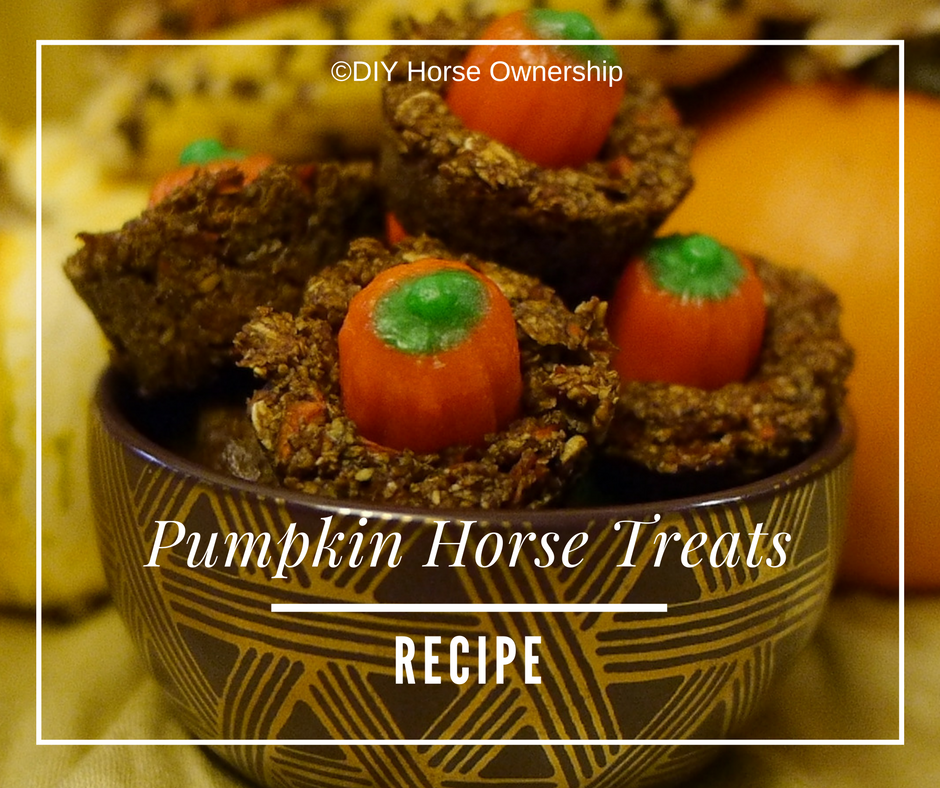 DIY How to make pumpkin horse treats recipe