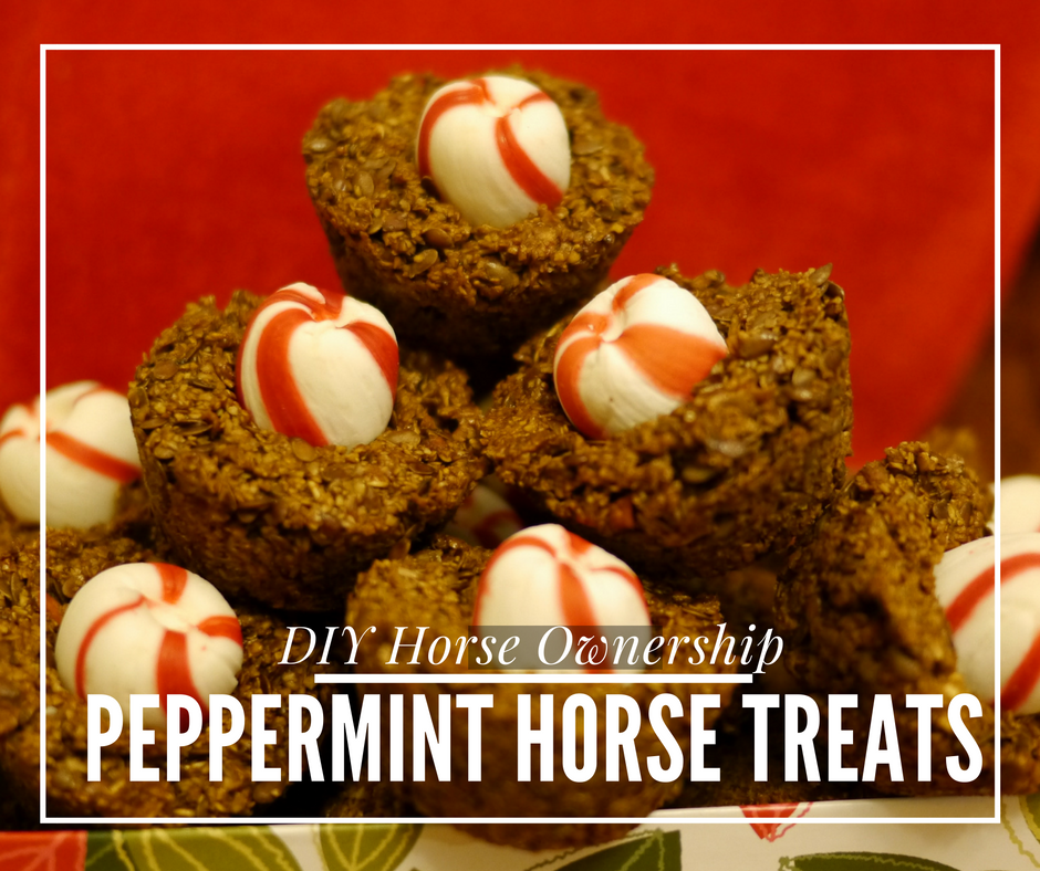 Peppermint Horse Treats