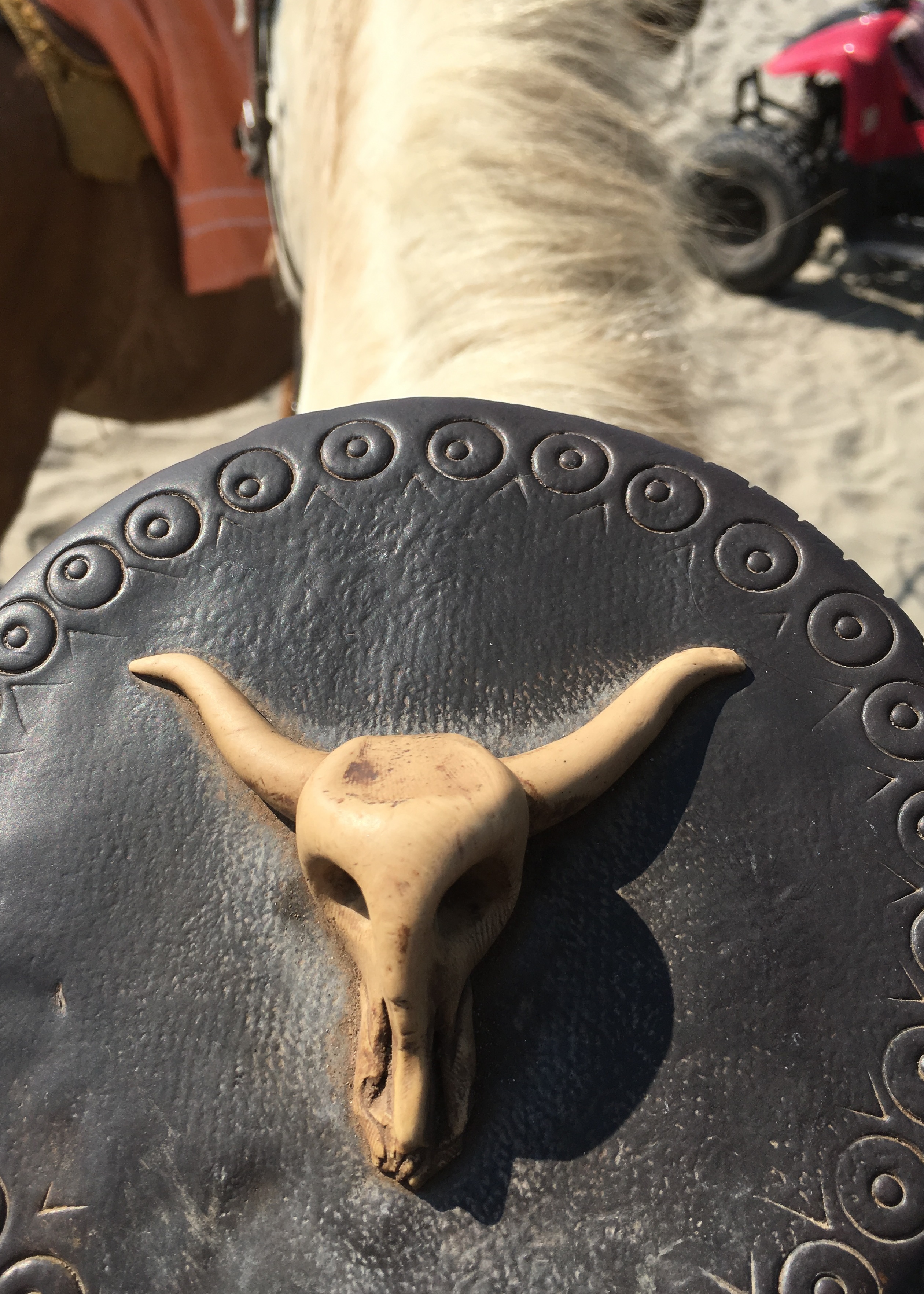saddle horn 