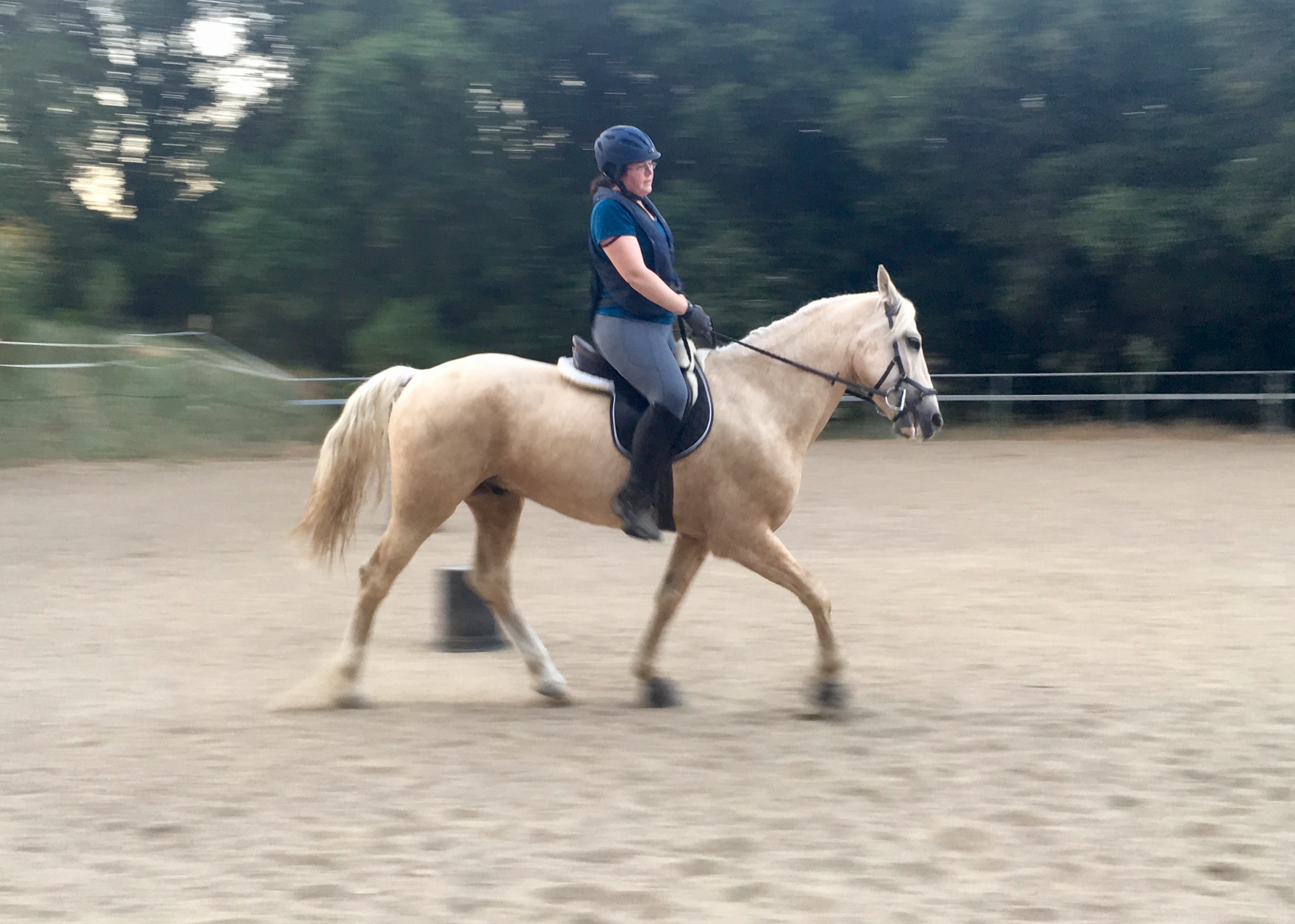 geometry-of-a-20-meter-circle-diy-horse-ownership