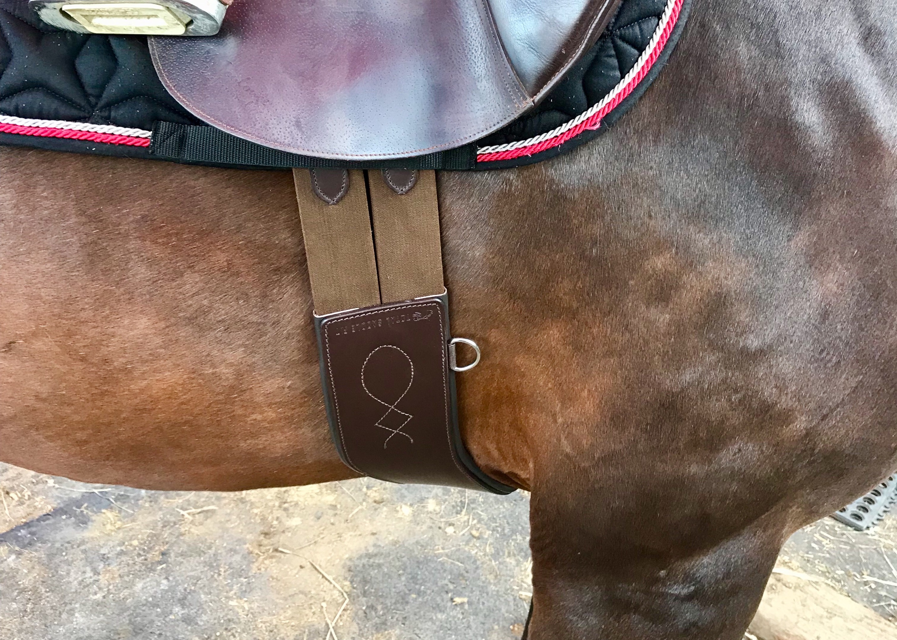 Total Saddle Fit Shoulder Relief Girth Review And Giveaway DIY Horse 