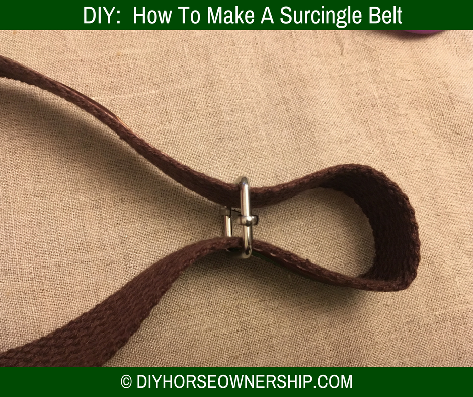 DIY Do It Yourself How to Make a Horse Equestrian Surcingle Fashion Belt
