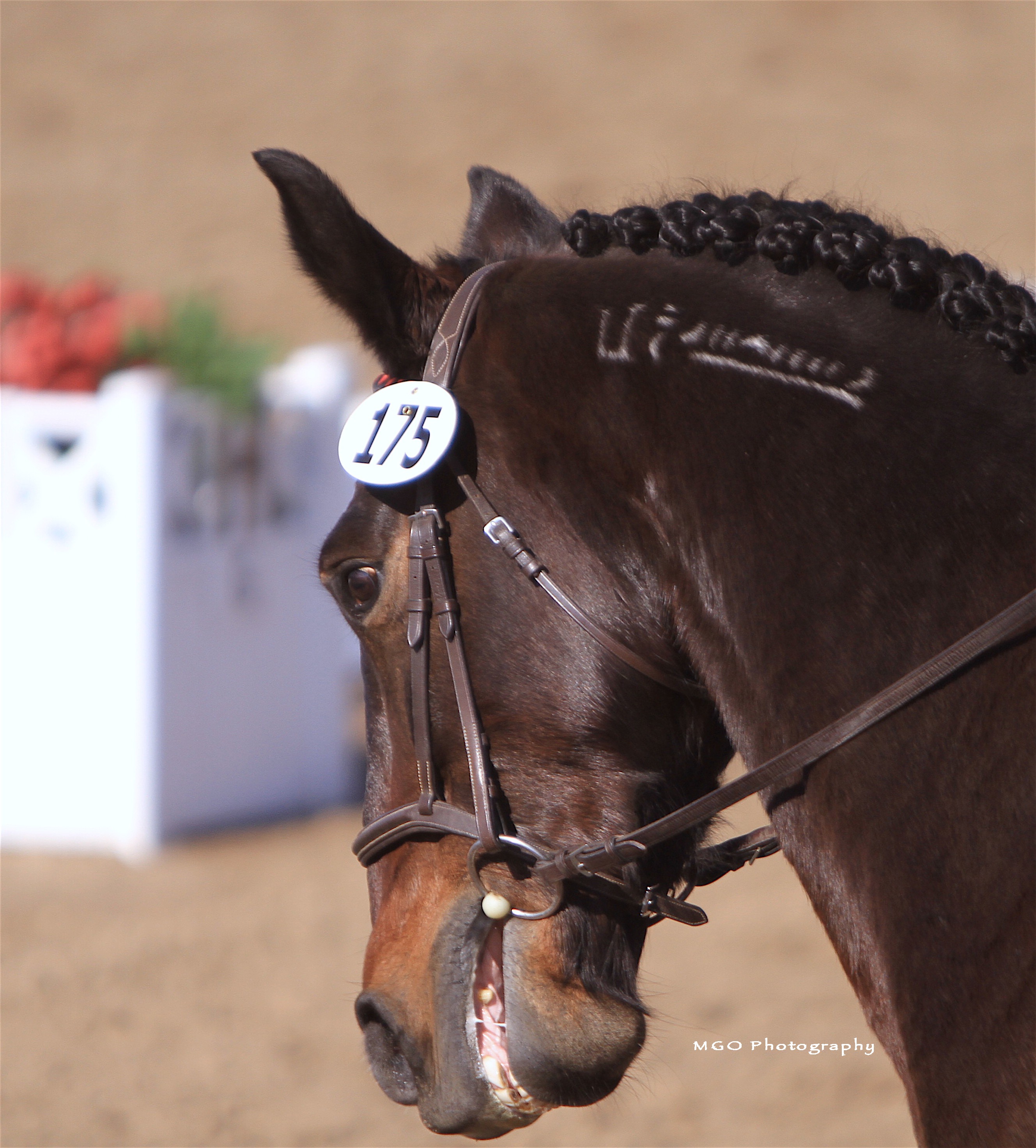 Hair Beauty Horses Brown-Gold 42653 HORSE CLUB Sofia´s Beauties | schleich