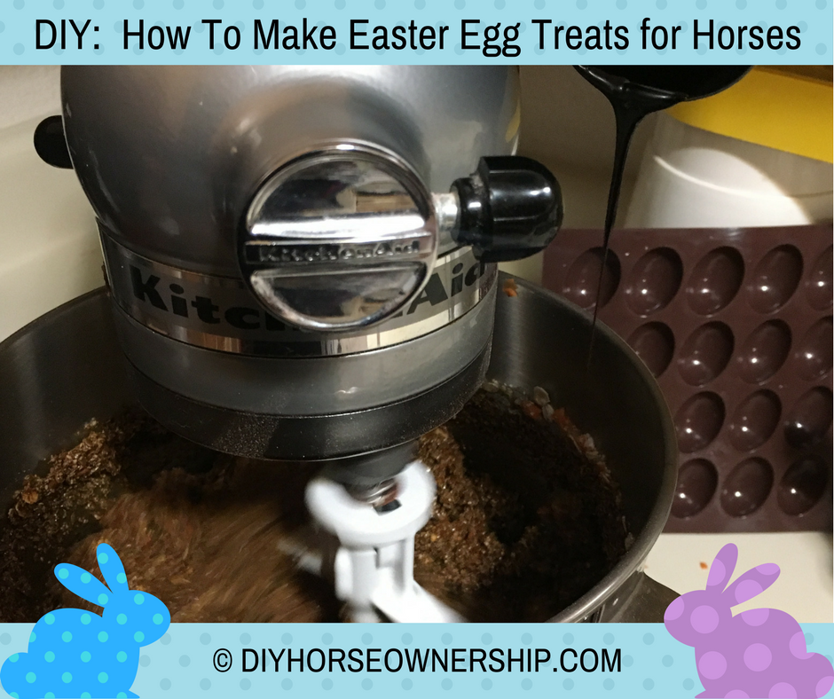 DIY Easter Egg Horse Treats Recipe