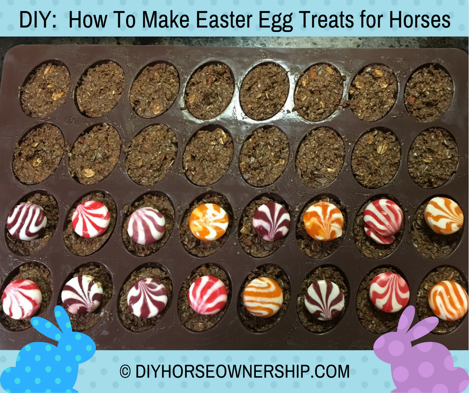DIY Easter Egg Horse Treats Recipe