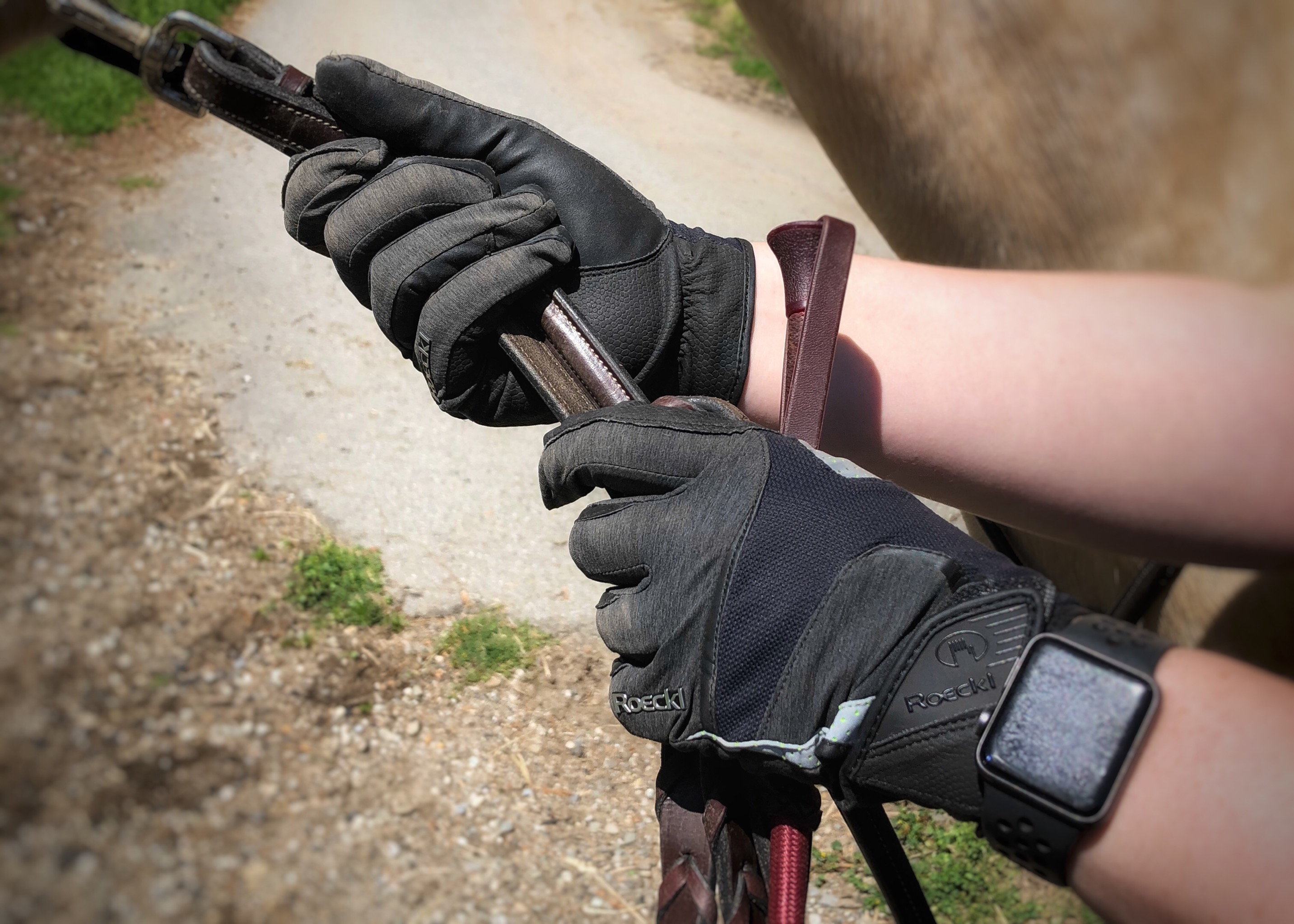 Roeckl Roeck-Grip Chester Chamois: 7 Horse Riding Gloves