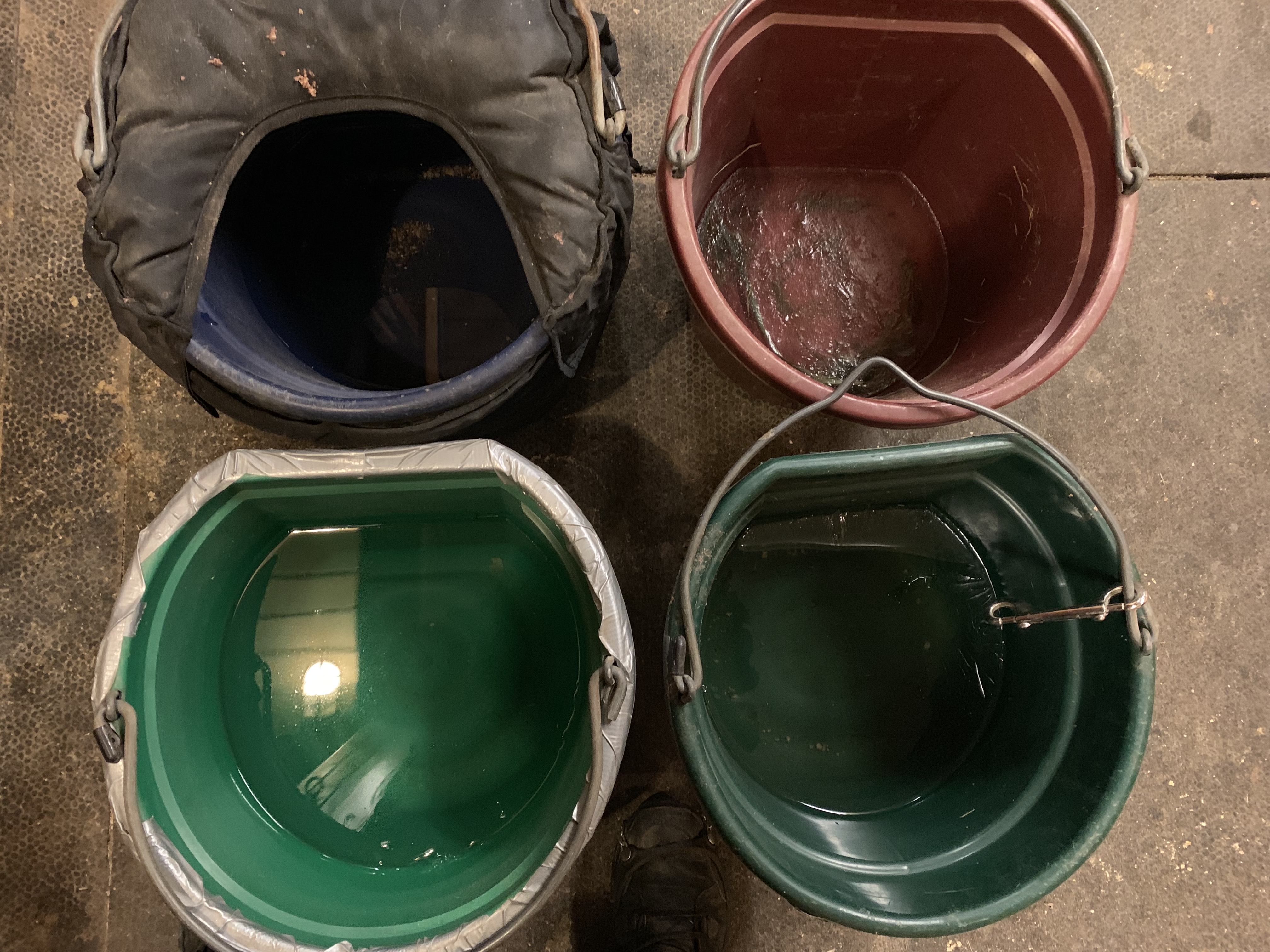 Insulated Horse Water Bucket comparison