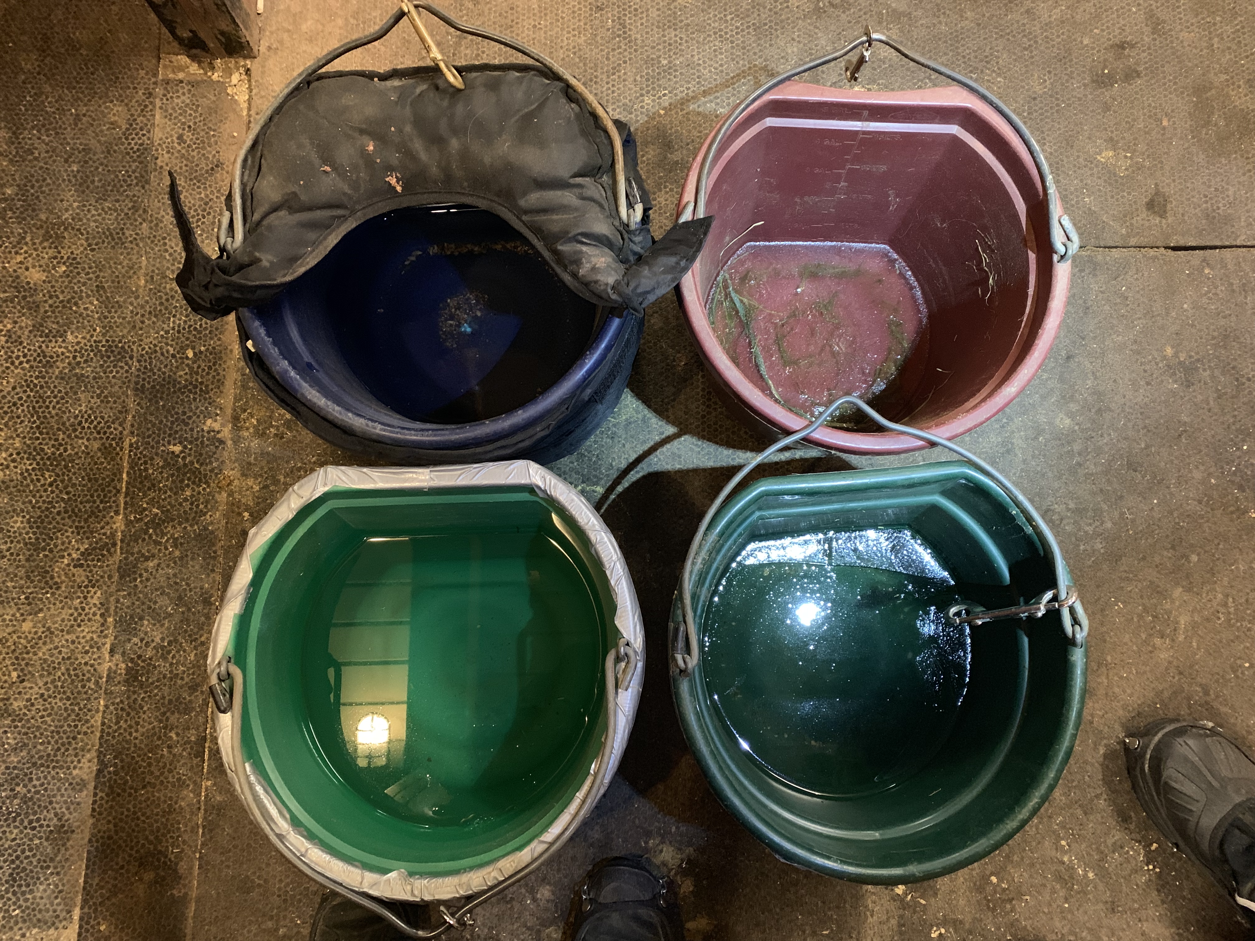 Insulated Horse Water Bucket comparison