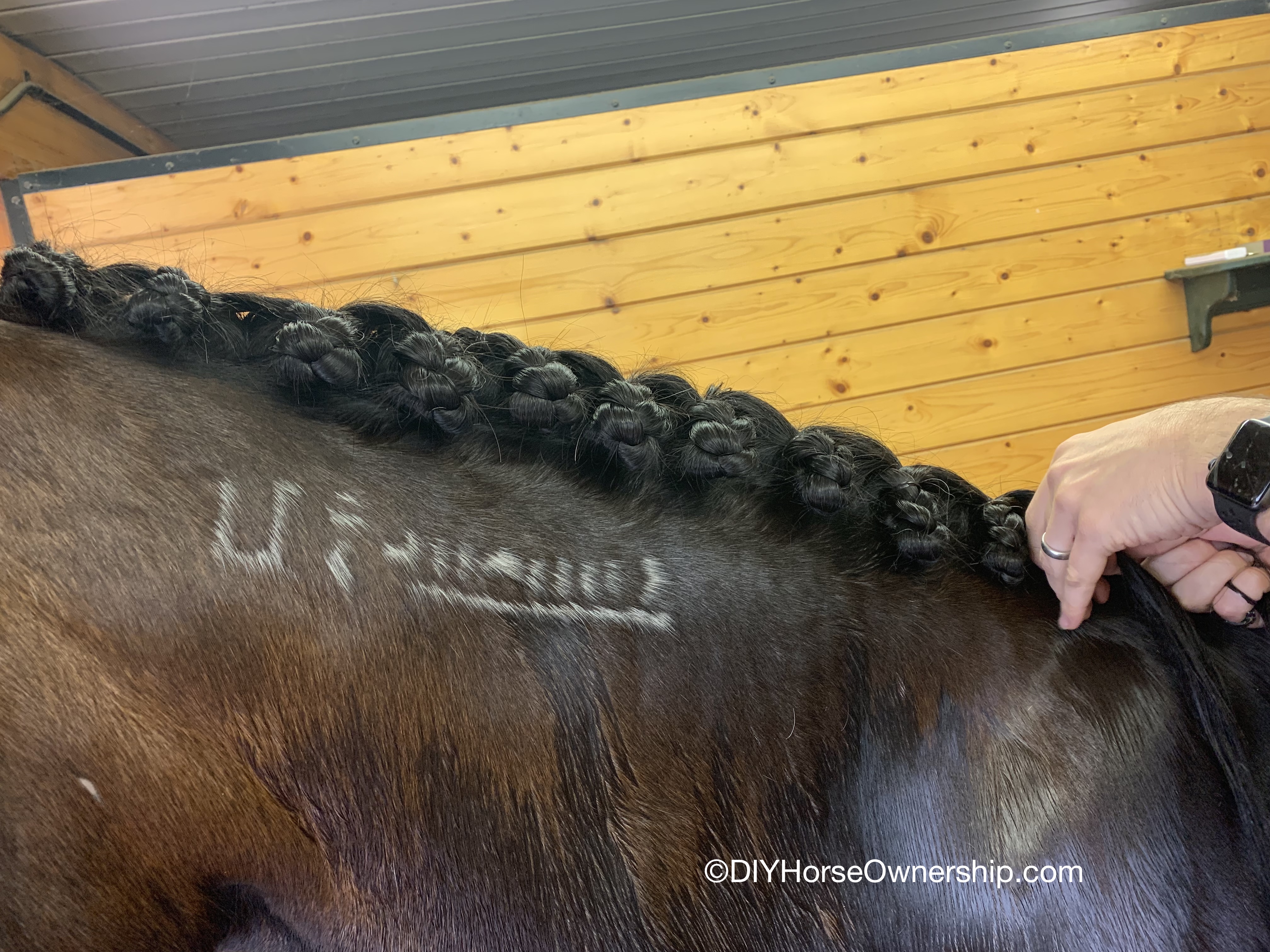 How to button braid long mane